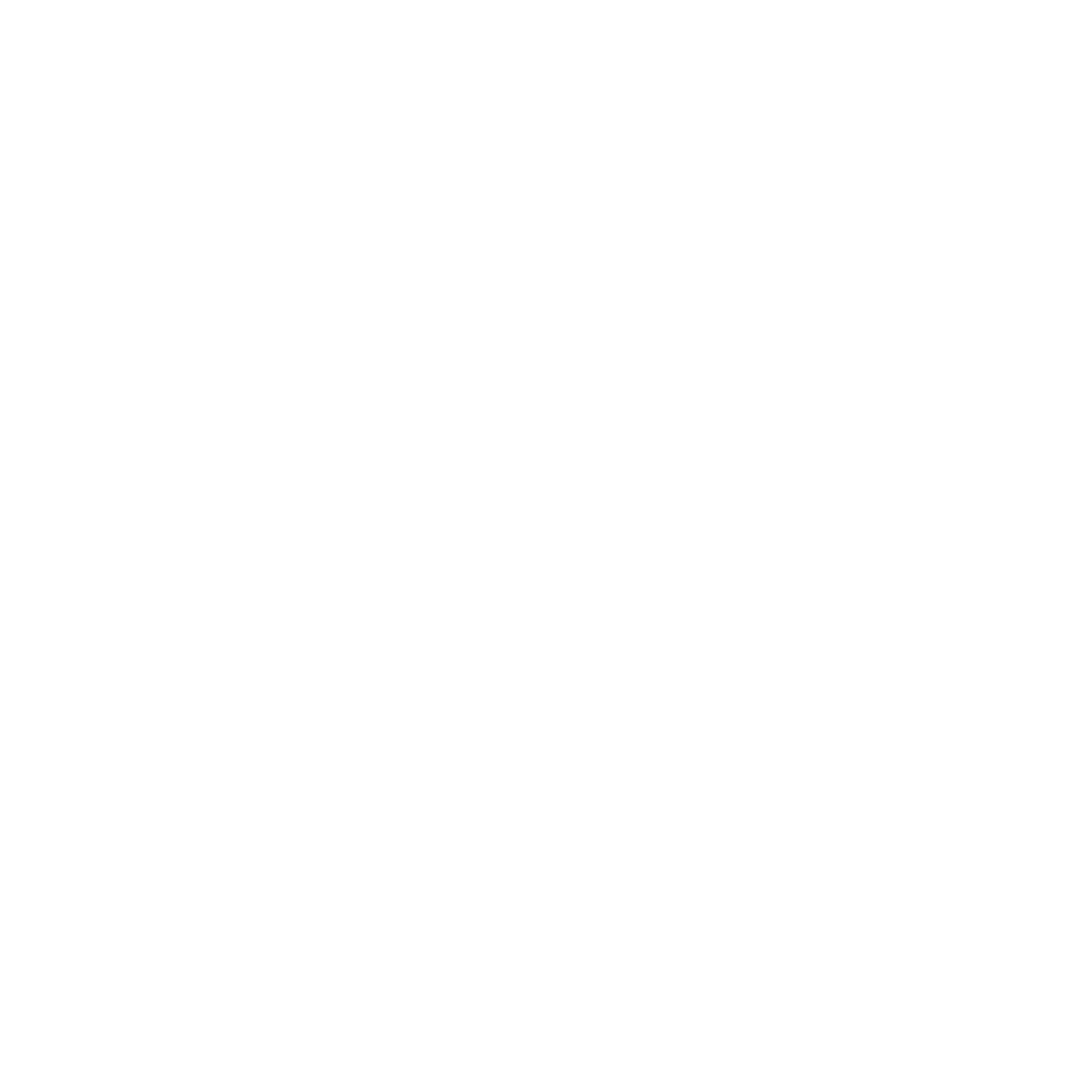 AER_OurValue_Icons_Agility