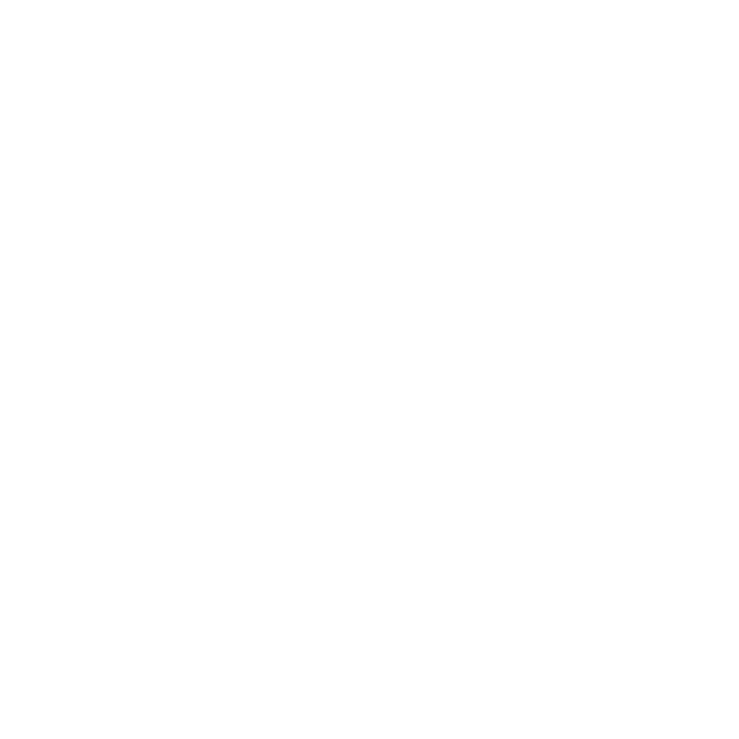 AER_OurValue_Icons_Mission Ready